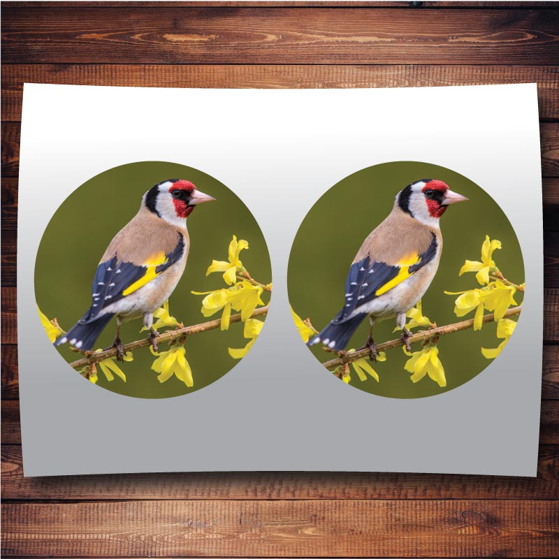 Goldfinch Bird Waterproof Vinyl Sticker